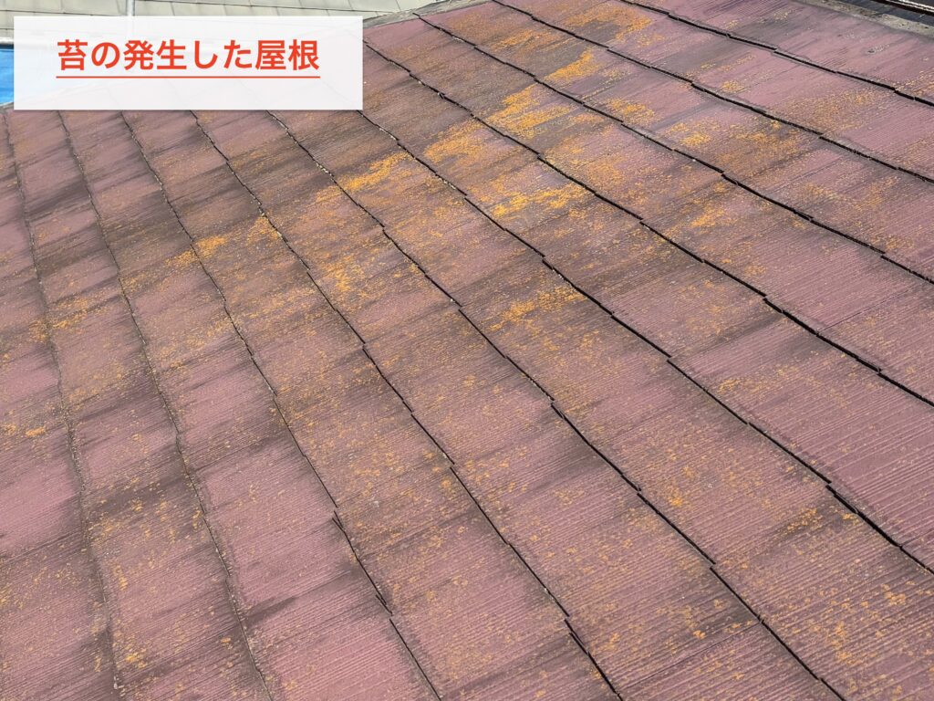 泉区のスレート屋根 苔とひび割れの状態