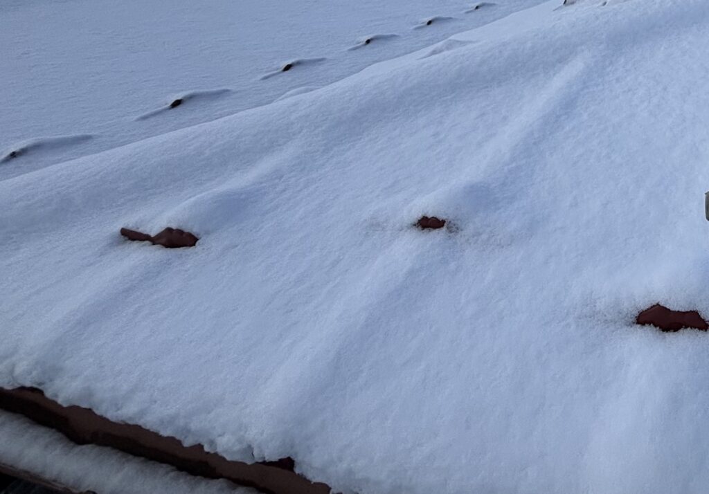 屋根に積もった雪を受け止める雪止め金具。落雪を抑えながら、安心につながる役割を果たしています。
